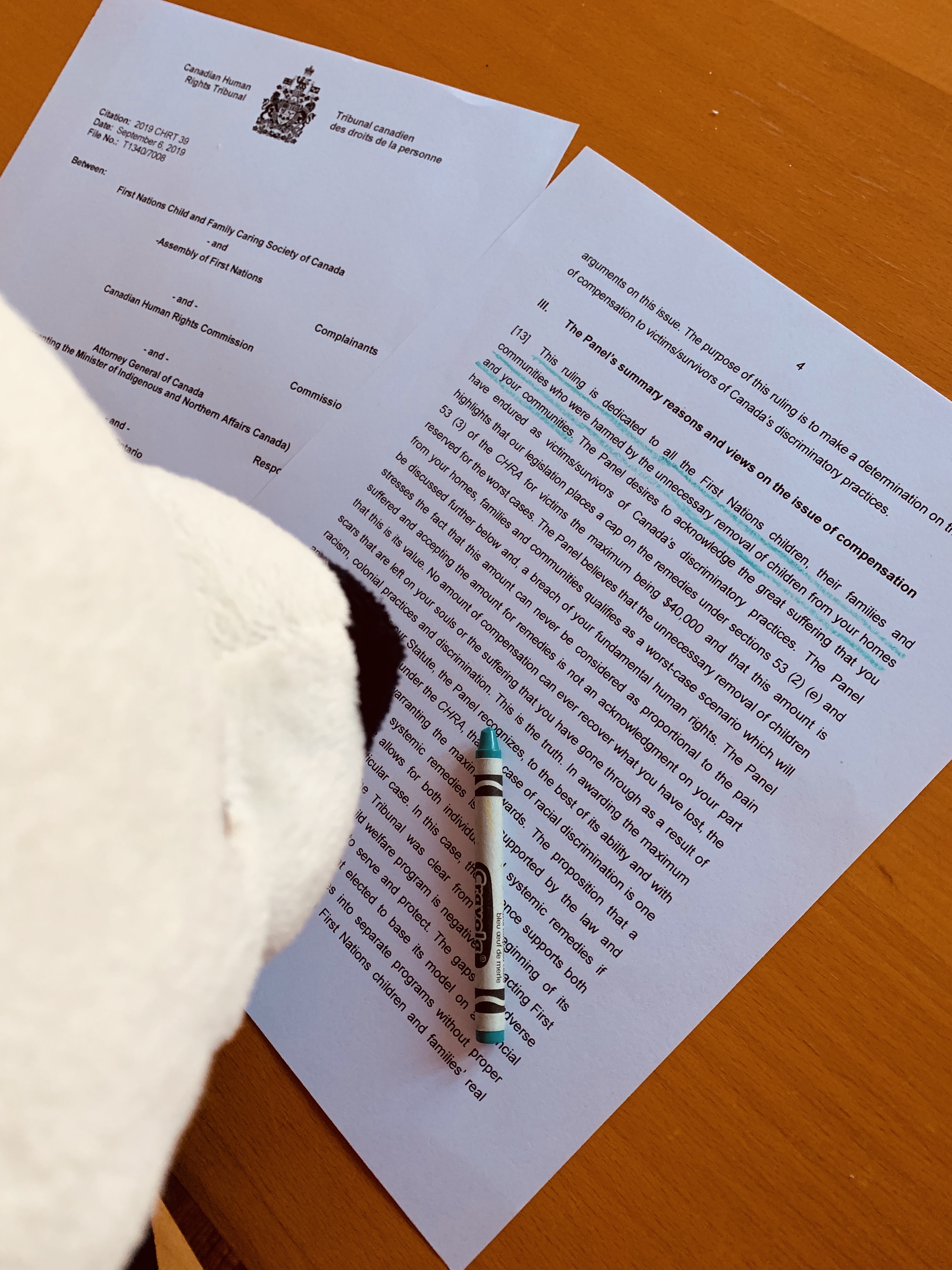 Spirit Bear reading the Tribunal's compensation order