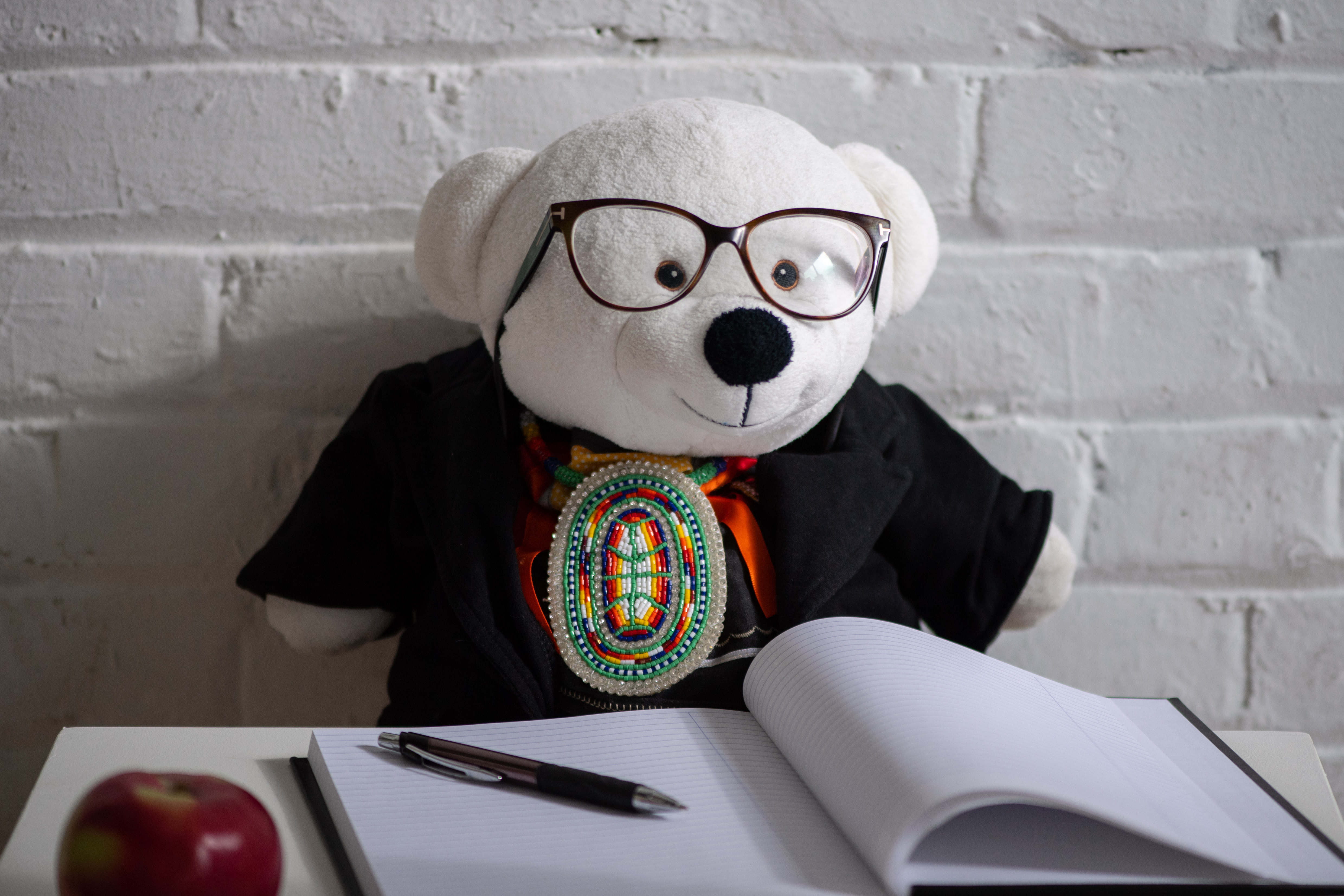 Spirit Bear with notebook and apple