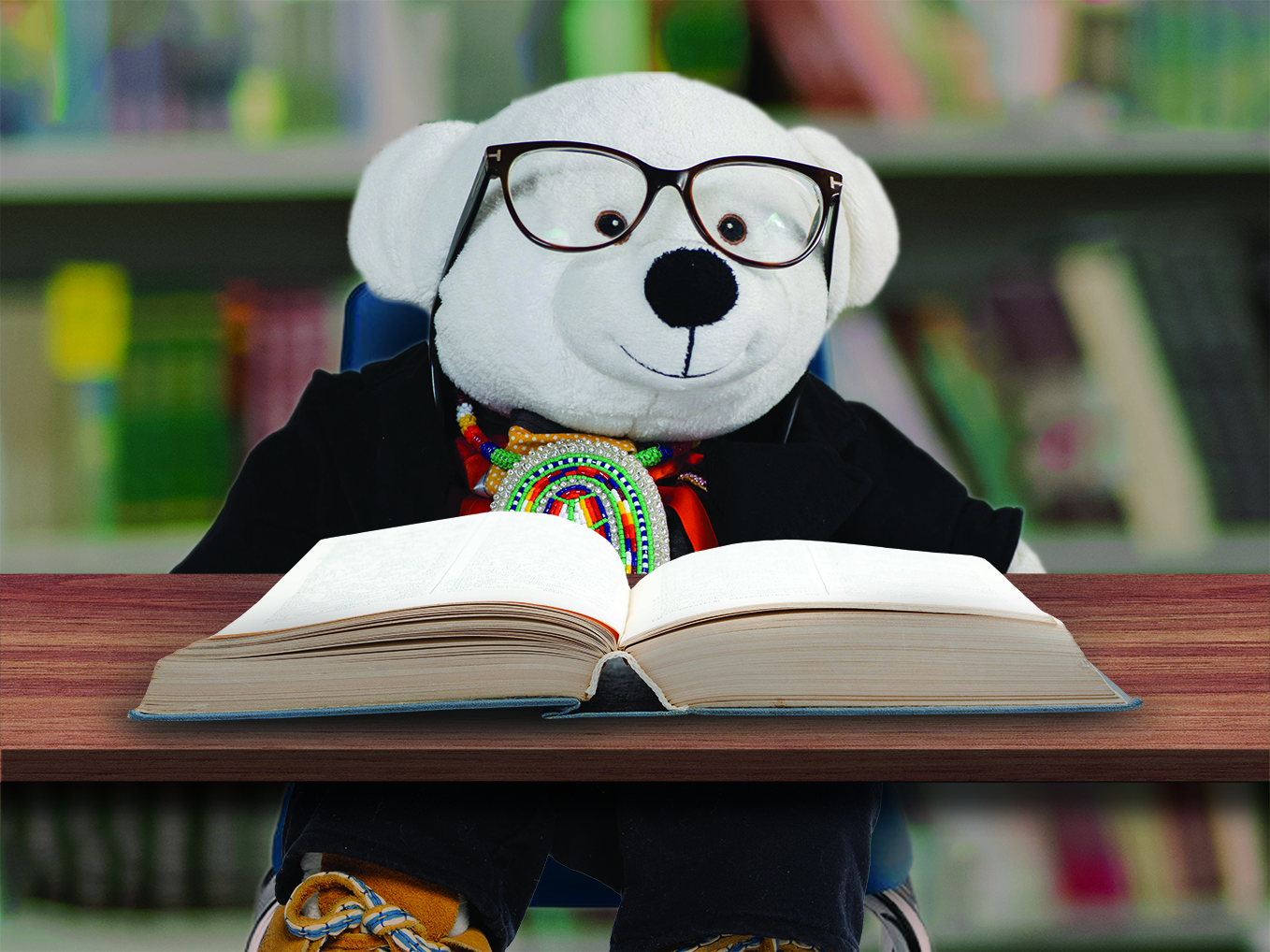Spirit Bear reading a book