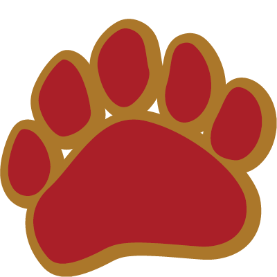 Spirit Bear | The Caring Society